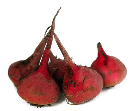 Candy Beetroots (500g) – All Greens Wholesale Ltd